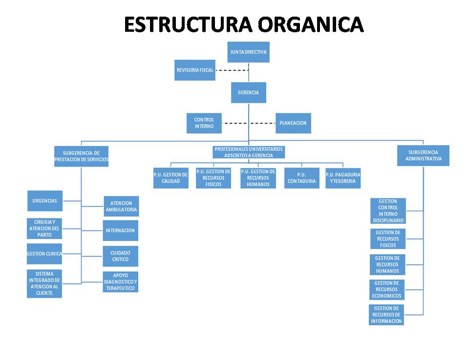 Estructura Orgánica